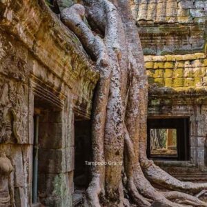 Siem Reap Photographic Journey III – Exploring Angkor Thom – Bayon & Ta Prohm