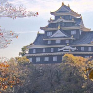 South West Japan Sakura Trip, Day 3 (Okayama, Himeji & Kyoto)