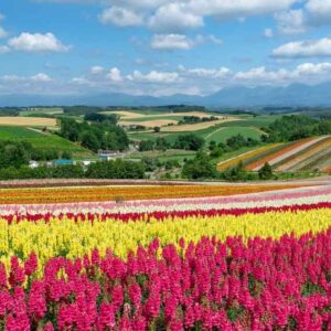 Autumn in Hokkaido & Tokyo 2018 – Day 8 (Ghibli Museum, Nakano Broadway & Tokyo Character Street)