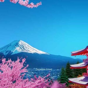 South West Japan Sakura Trip, Day 5 (Kyoto)