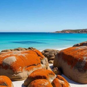 15 Days Tasmania & Melbourne Self Drive, 2017: Day 7 (Bicheno- Binalong Bay – Sheffield)