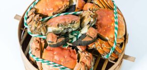 Hairy Crabs Season in China