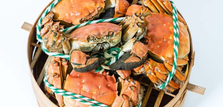 Hairy Crabs Season in China