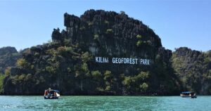 Sun & Sea @ Langkawi – Mangrove Tour