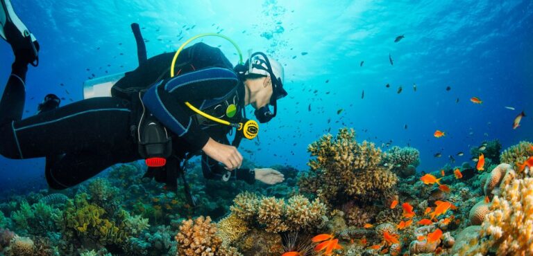 divers in Indonesia
