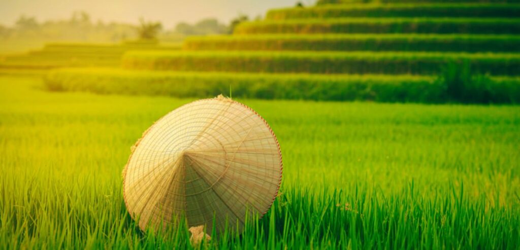 My Third Day in Vietnam