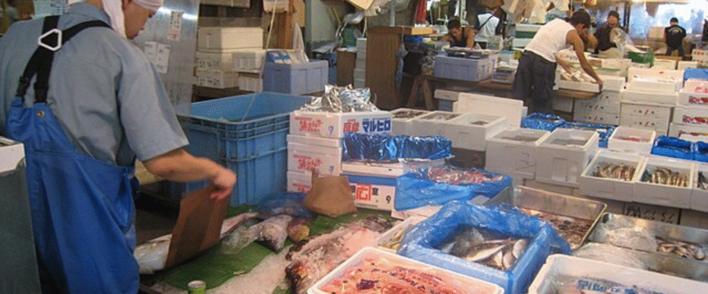 tsukiji-fish-market